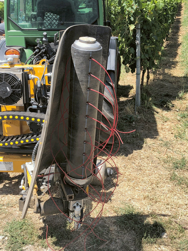Désherbage mécanique du cavaillon, la bande présente de chaque côté du rang de vigne.