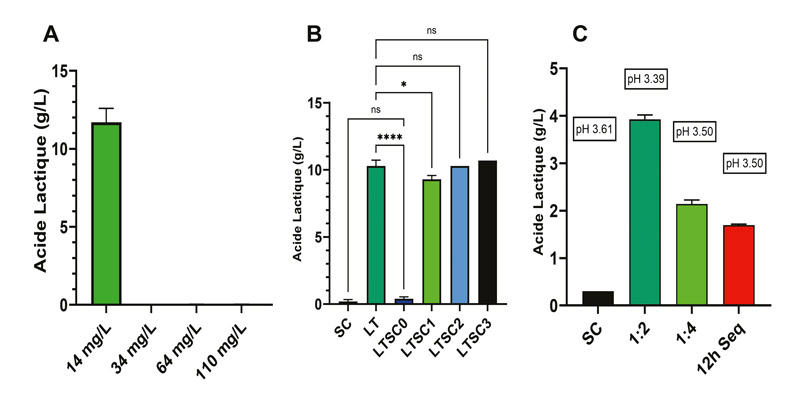 Résultats à l’échelle laboratoire. (A) Production d’acide lactique par Lt à différentes concentrations de sulfites testée. (B) Quantité d’acide lactique produit dans les conditions d’inoculation séquentielle : SC : Saccharomyces c. LT : Lachancea t. LTSC0 : co‑inoculation de Lt et Sc. LTSC1 : inoculation séquentielle de Sc le jour 1 après Lt. LTSC2 : inoculation séquentielle de Sc au jour 2 après Lt. LTSC3 : inoculation séquentielle de Sc au jour 3 après Lt. Les colonnes représentent les valeurs moyennes de deux répliques biologiques. Les barres représentent l’écart-type. Les astérisques représentent les valeurs p après comparaison par paire (test de Sidak) : **** = p < 0,05 ; ns : non significatif. (C) Production d’acide lactique et pH après l’application de protocoles alternatifs : SC : Saccharomyces c. 1:2 et 1:4 : rapports de mélange entre le moût de fermentation Lt et le moût de fermentation Sc. 12 h Seq : inoculation de Sc 12 h après l’inoculation de Lt.