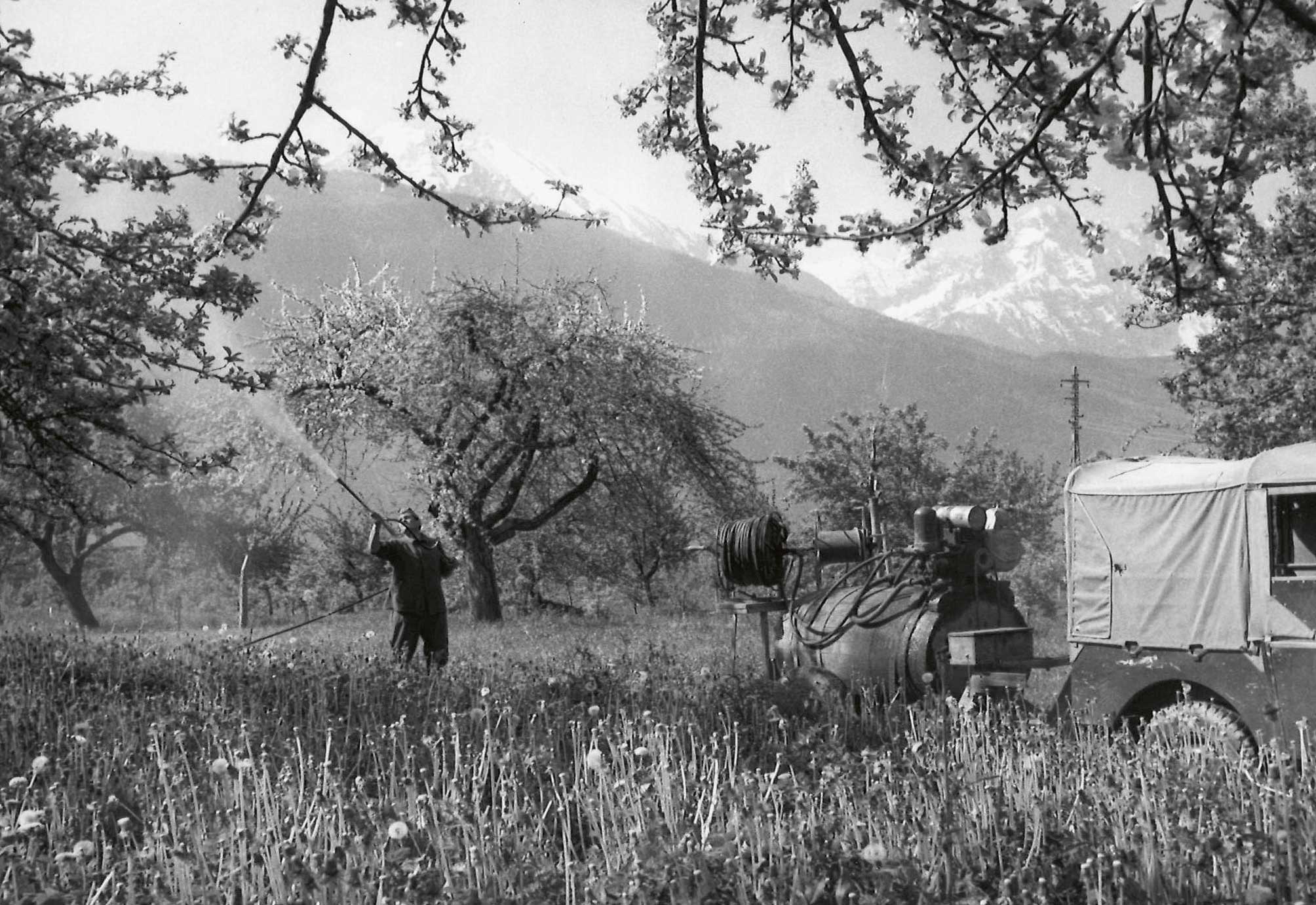 Le traitement des vergers tel qu’il se pratiquait en Valais en 1962.