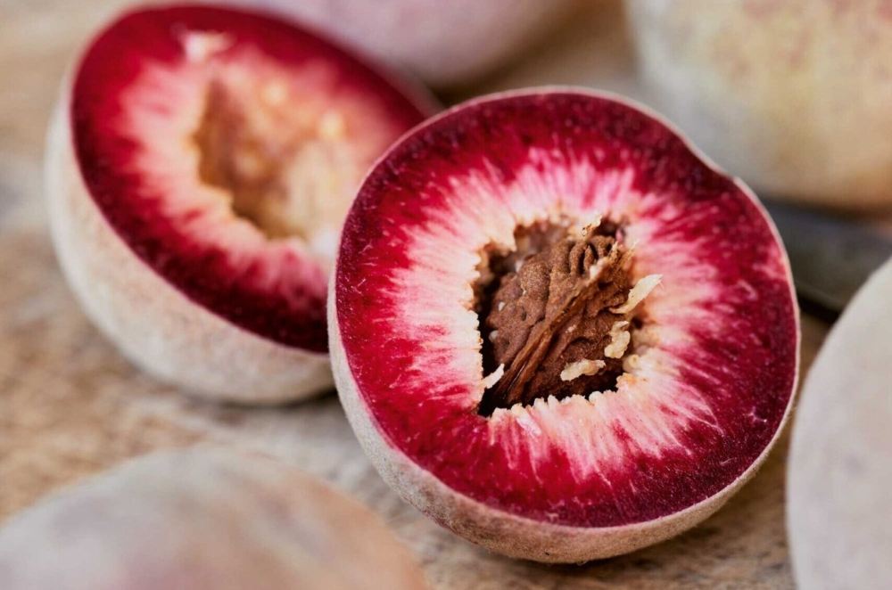 Pêches de vigne rouges