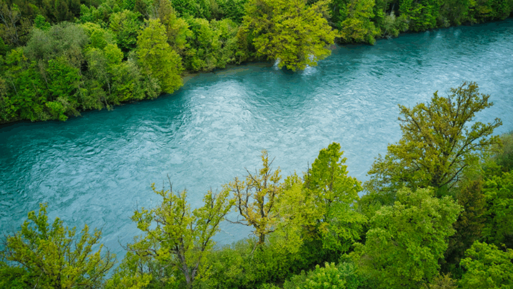 Rivière
