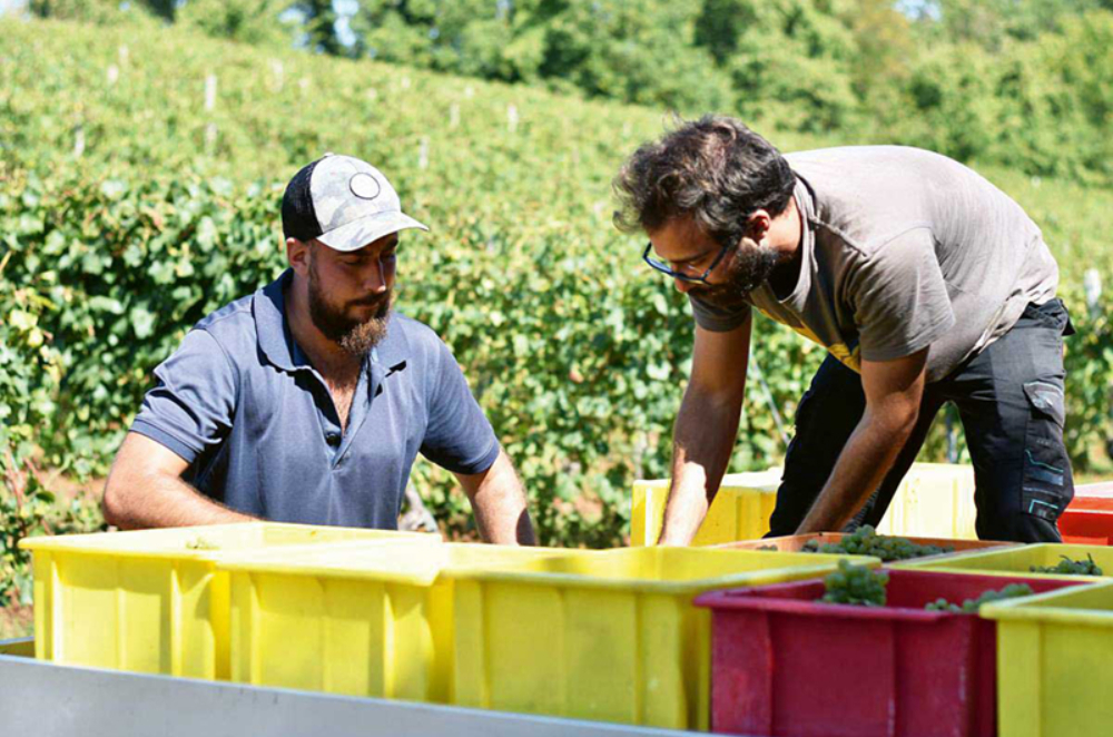 Réserve climatique
