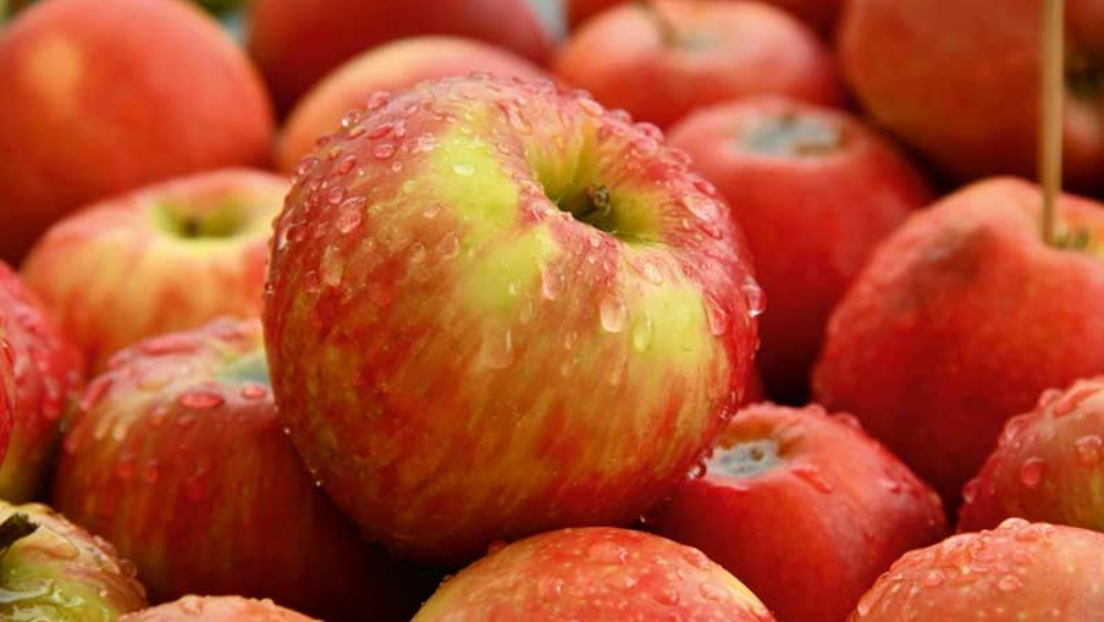 Pommes rouges fraîches