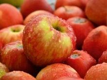 Pommes rouges fraîches