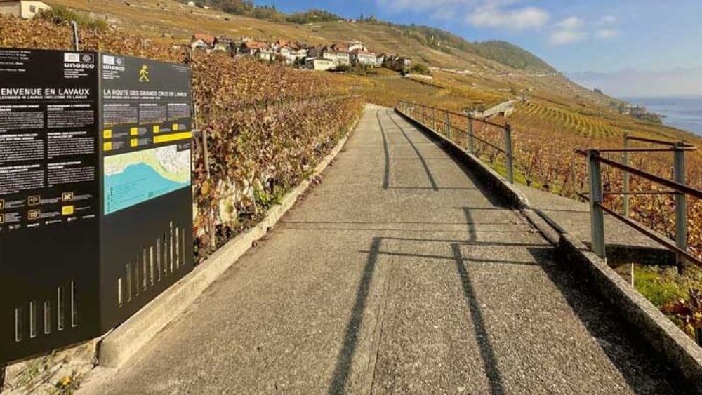 Lavaux