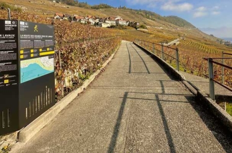 Lavaux
