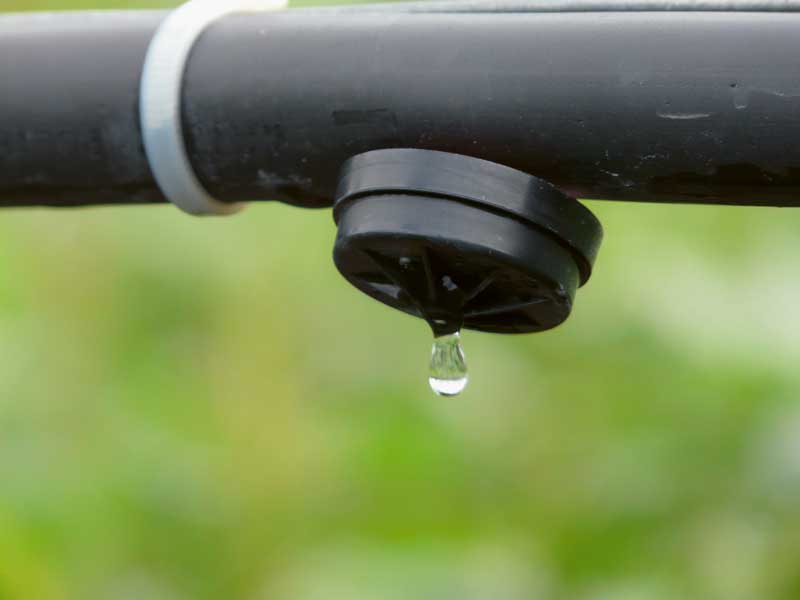 Le programme encourage les économies d’eau.