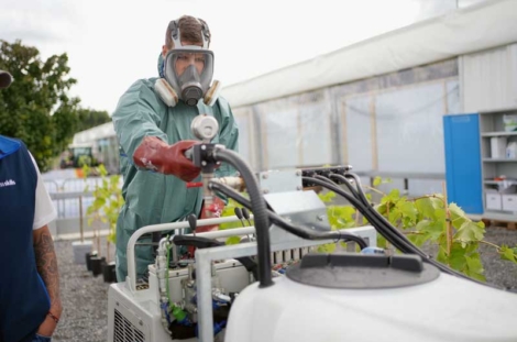 Produits phytosanitaires : nouveau permis de traiter dès 2026