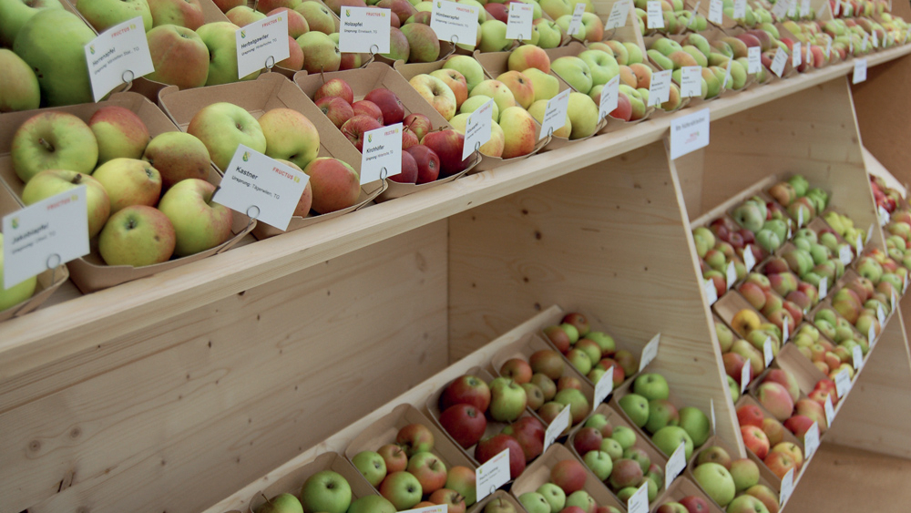 EXPO FRUITS BASEL