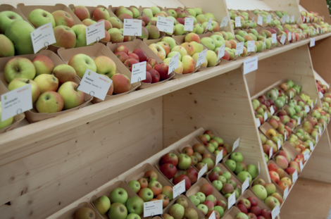 EXPO FRUITS BASEL