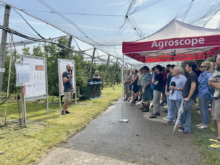 La Journée de Güttingen est organisée chaque année par Agroscope et le BBZ Arenenberg.