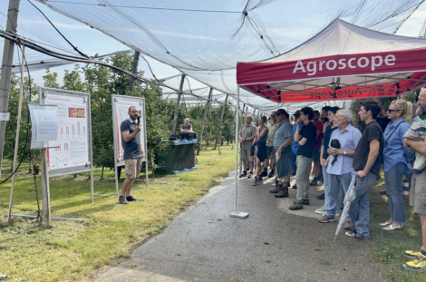 La Journée de Güttingen est organisée chaque année par Agroscope et le BBZ Arenenberg.