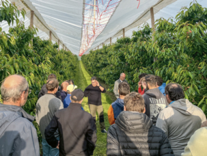 Exploitation de Cédric Blaser à Vufflens-le-Château.