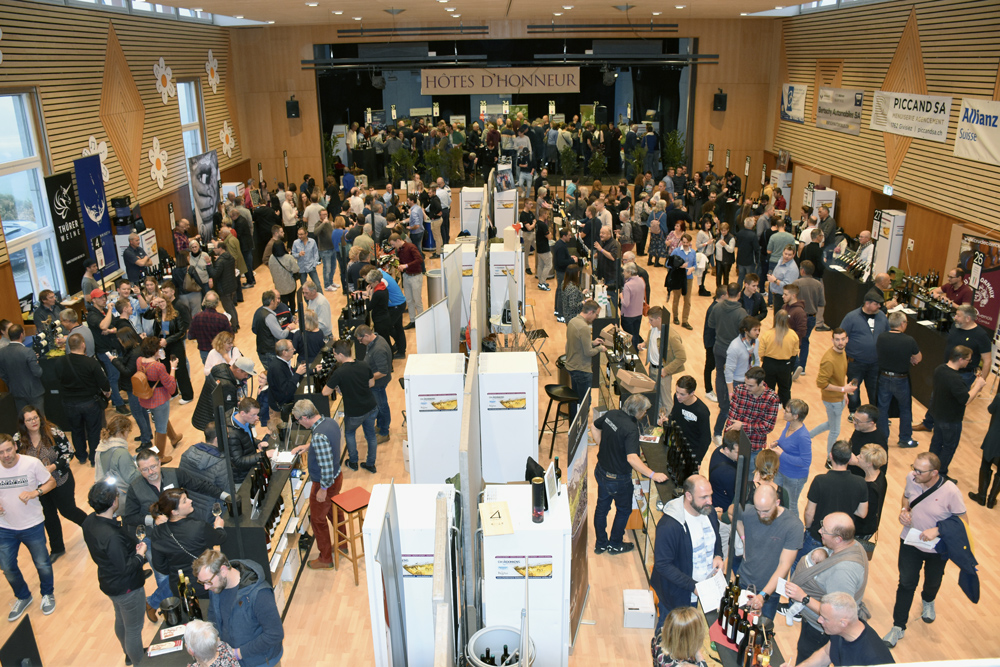 Le public de la 25e édition de Festivins