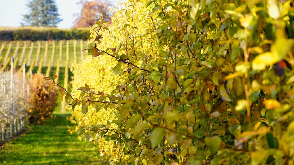 VV_25_06-ACTUS_3-UFL