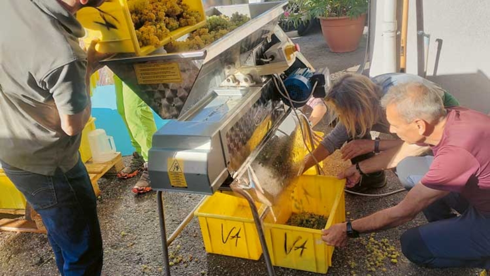 Le public a découvert le pressage à l’ancienne au Vin de l’A.