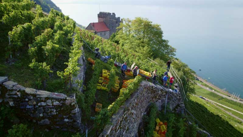 VV_26_01-ACTUS_3-Lavaux-c_Kiener