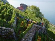 VV_26_01-ACTUS_3-Lavaux-c_Kiener