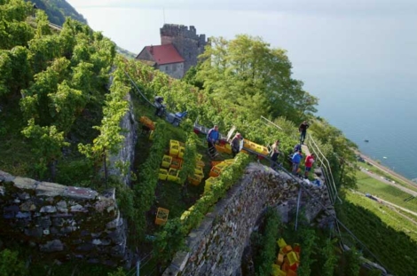 VV_26_01-ACTUS_3-Lavaux-c_Kiener