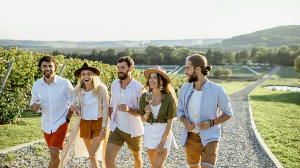 VV_26_01-AGROVINA_5-06