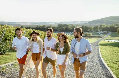 VV_26_01-AGROVINA_5-06