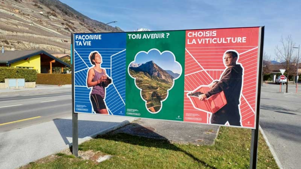 VV_26_01-FORM_1-3_Campagne_vitivini