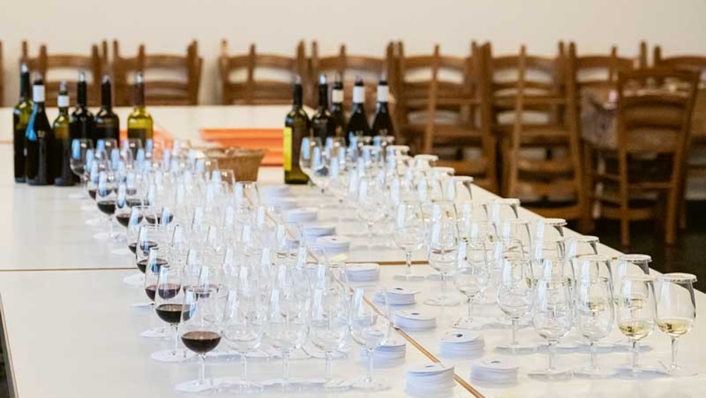 VV_26_01-RECH2-Cepages_resistants_01