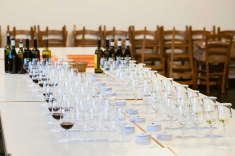 VV_26_01-RECH2-Cepages_resistants_01