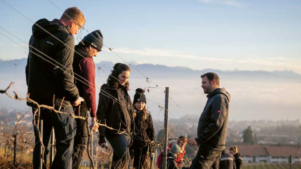 Le soutien de la HES‑SO permet notamment d’approfondir l’aspect viticole.