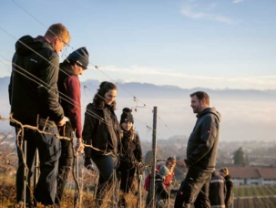 Le soutien de la HES‑SO permet notamment d’approfondir l’aspect viticole.