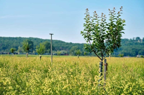 La Ferme de Lilan, à Bavois