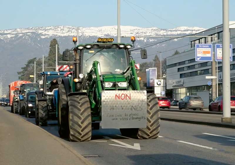 En mars dernier, Genève a vu défiler les tracteurs des vignerons en colère : une mobilisation inédite qui ouvre un bras de fer politique.