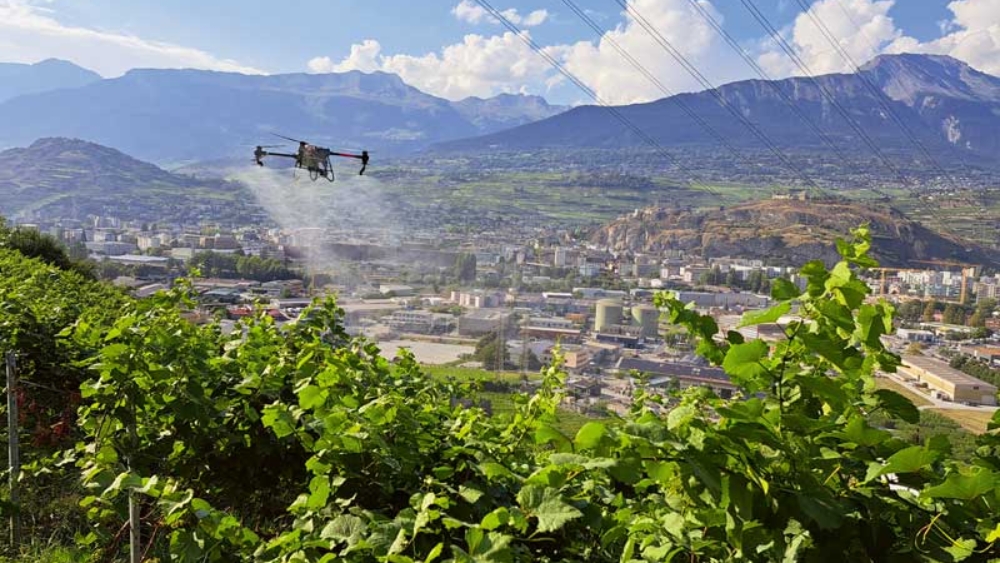 Drone de traitement T50 en action dans un vignoble valaisan. Ce mode d’application est en croissance constante en Suisse.