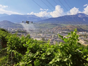 Drone de traitement T50 en action dans un vignoble valaisan. Ce mode d’application est en croissance constante en Suisse.