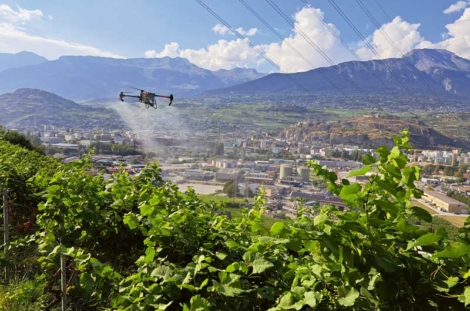 Drone de traitement T50 en action dans un vignoble valaisan. Ce mode d’application est en croissance constante en Suisse.