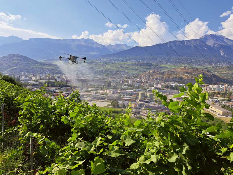 Drone de traitement T50 en action dans un vignoble valaisan. Ce mode d’application est en croissance constante en Suisse.